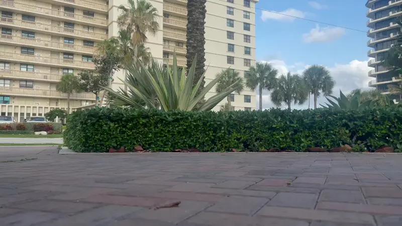 Palm trees and apartment buildings along a brick paved street in Palm Beach County, one of the neighborhoods Fuzzy Paws walks